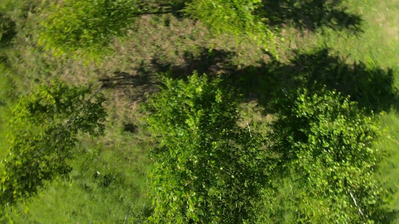Дачные березки FPV freestyle. смотреть онлайн