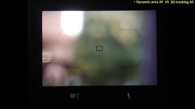Nikon Dynamic Area AF vs 3D Tracking AF vs Group Area AF vs Auto-area AF | Wildlife Photography . смотреть онлайн