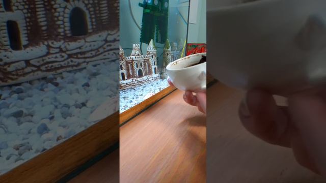 ФЕВРАЛЬ 2024. ЧТО ЖДЁТ? ЧТО БУДЕТ? Гадание на кофейной гуще. смотреть онлайн