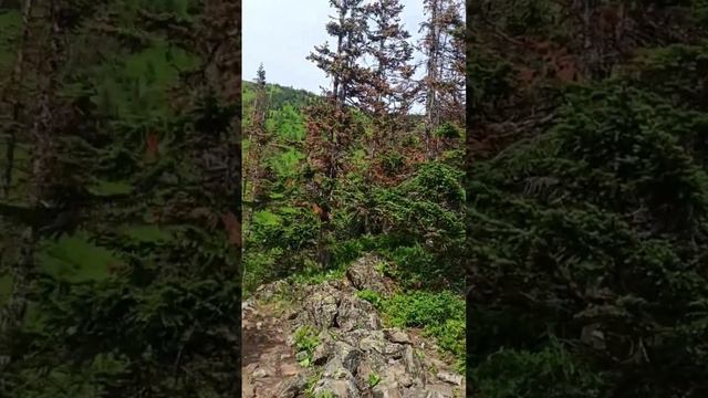 Мамай.Озеро Сказка. смотреть онлайн