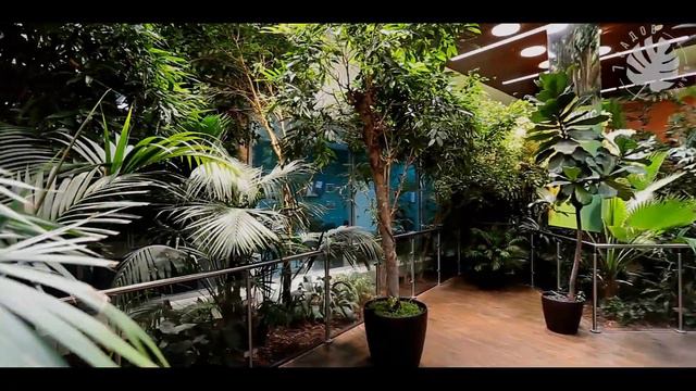 Виртуальное путешествие по оранжерее "7 садов" смотреть онлайн