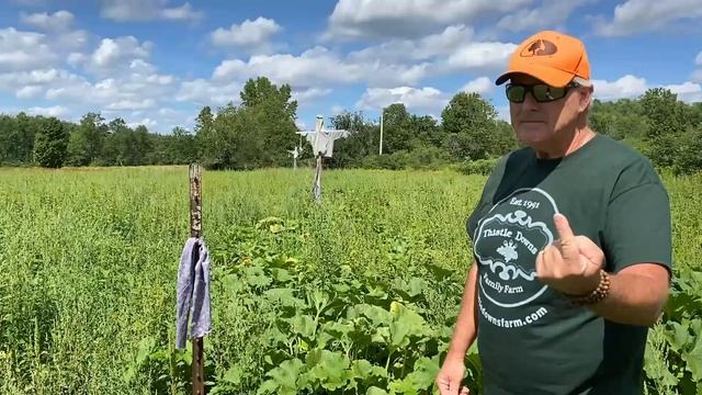 Keep Deer Out of Your Garden! (DIY Deer Repellent System) смотреть онлайн