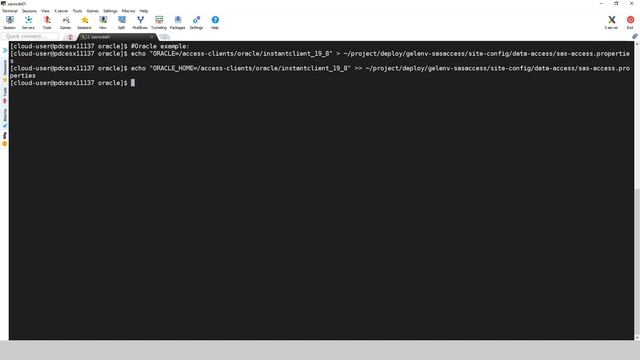 SAS Demo | How to Configure a SAS/ACCESS Interface in SAS Viya 4 смотреть онлайн