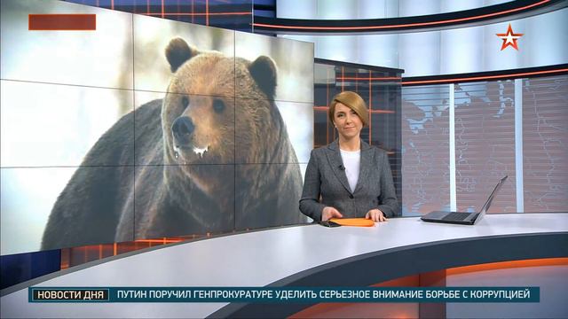 большую медведицу смотреть онлайн