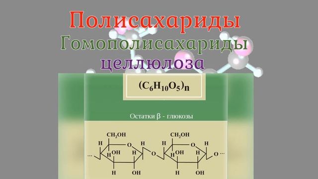 Углеводы и их значение в организме. Химический состав клетки смотреть онлайн