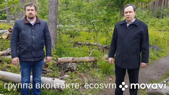 Северный лес смотреть онлайн