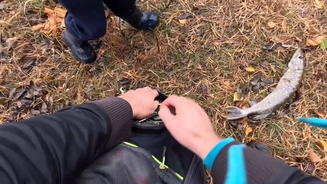 КИДАЙТЕ ПРИМАНКУ ТУДА, ЕСЛИ ХОТИТЕ ПОЙМАТЬ ЩУКУ смотреть онлайн