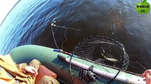 Ловля леща на подпуск(на кольцо)