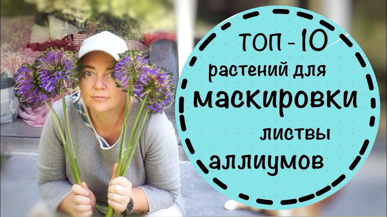 Сохнет листва у Луков? ☘️ ТОП 10 самых простых растений, которые закроют листву  декоративных луков.