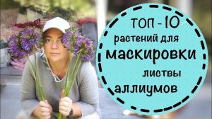 Сохнет листва у Луков? ☘️ ТОП 10 самых простых растений, которые закроют листву  декоративных луков.