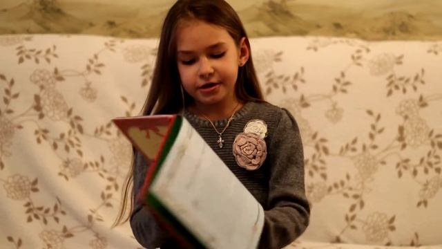 ОБзор книжки Рождество гномов смотреть онлайн