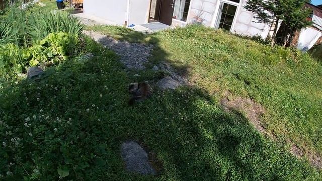 Что делать на Телецком озере и сколько денег надо на отдых?