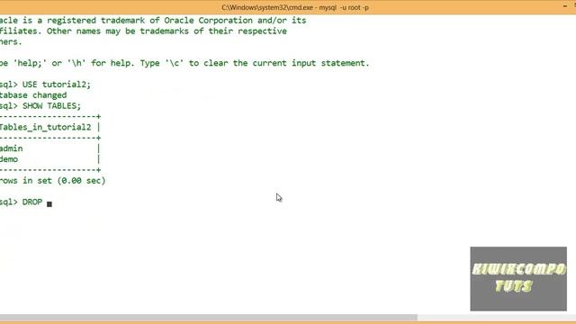 09 SQL Deleting tables and databases смотреть онлайн