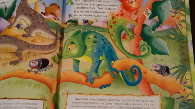 Необыкновенная книга об удивительных животных смотреть онлайн