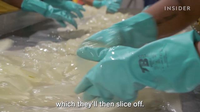 How 1.5 Million Aloe Vera Leaves Are Harvested A Week | Big Business смотреть онлайн