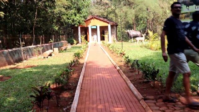 Dudhsagar Falls in Tamil | Dudhsagar Waterfall | Goa Tourist Places | Tamil Travel Vlog | Tamil Tri смотреть онлайн