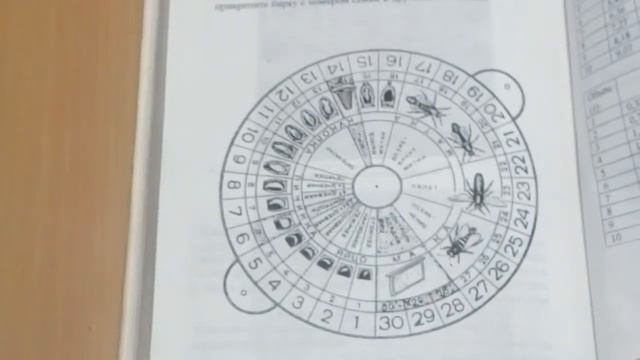 Для пчеловодов книга Гончаренко Владимира Марковича пчеловода с 65 летним стажем . Ролик № 186 смотреть онлайн