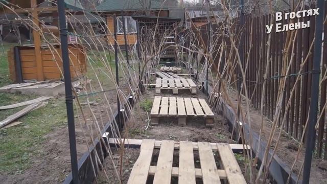 ДАЧА. МАЛИННИК ГОТОВ ПРИНИМАЙТЕ. ЛУЧШЕЕ РЕШЕНИЕ ОТ РОДИТЕЛЕЙ. смотреть онлайн