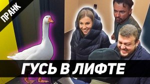ПРАНК_ ГУСЬ В ЛИФТЕ  РЕАКЦИЯ СОСЕДЕЙ
