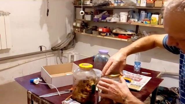 Ферментация 2 дня смотреть онлайн