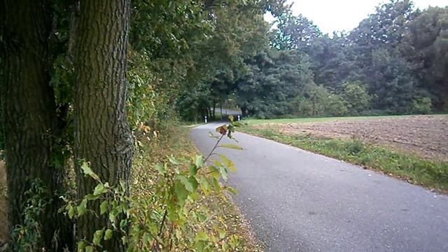 Wartburg 1.3 Testfahrt смотреть онлайн