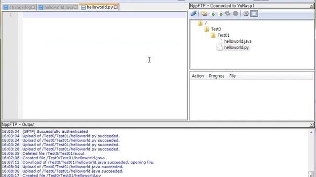 Notepad++ Test for Java and Python смотреть онлайн
