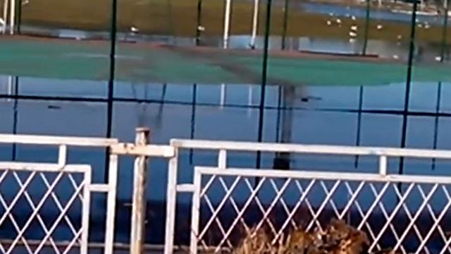 Вышний Волочек Стадион смотреть онлайн