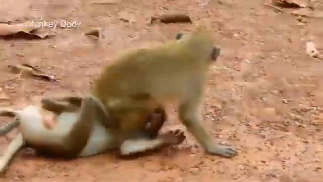 golu ke papa my good funny videos 😃 😃😀😃😃😀 смотреть онлайн