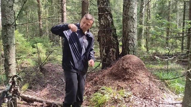 Простые советы для успешной жизни