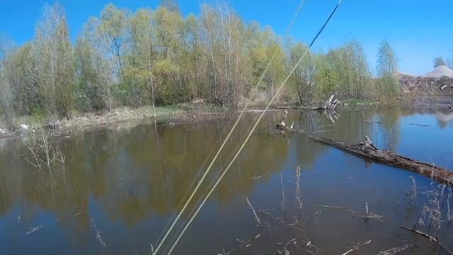 В поисках красноперки. Нахлыст. смотреть онлайн