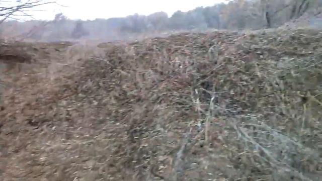 Зелёный Фронт: свалки в Чернянском районе