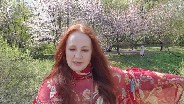 Когда ты разводил бабочек в моем животе смотреть онлайн