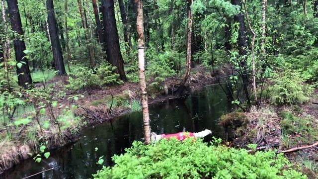 В Балашихе ничего нет, только болота. Не переезжайте сюда жить. смотреть онлайн