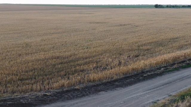 Вносим Бор 👎👎👎👎на подсолнечник смотреть онлайн