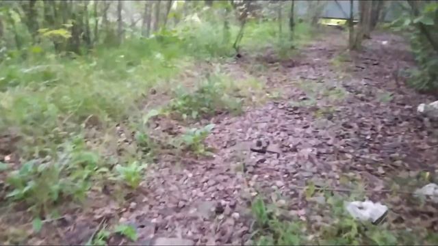 Обзор подъездных путей Санкт-Петербурга и Ленинградской области №2. Станция Царское село. смотреть онлайн