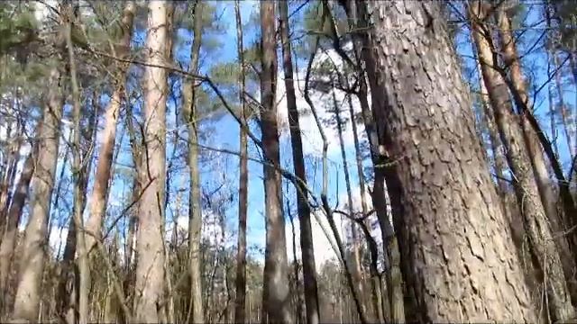 ,,Жизнь часто женщину ломает...,, смотреть онлайн