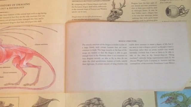 Booksploration: Dragonology смотреть онлайн