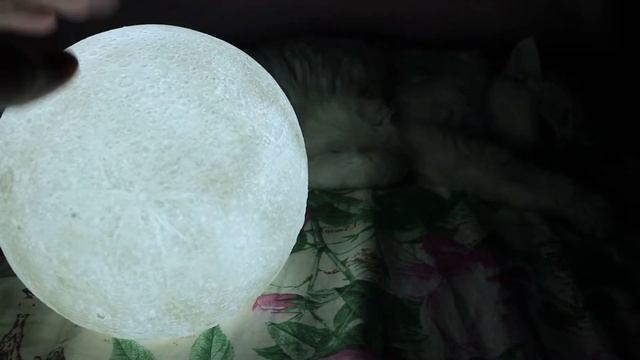 Светильник луна смена режима свечения смотреть онлайн