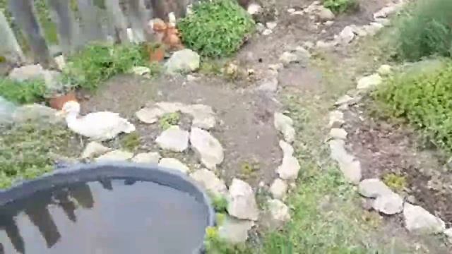 ВЛОГ ПОДНИМАЕМ ЛИСТЫ ГИПСОКАРТОНА НА МАНСАРДУ БУДНИ В ДЕРЕВНЕ смотреть онлайн