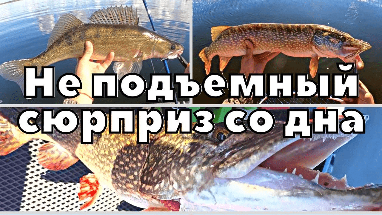 Не подъемный сюрприз со дна. Плюсик в карму щука/судак/сети/трофеи. Троллинг в один спиннинг. Аргази смотреть онлайн