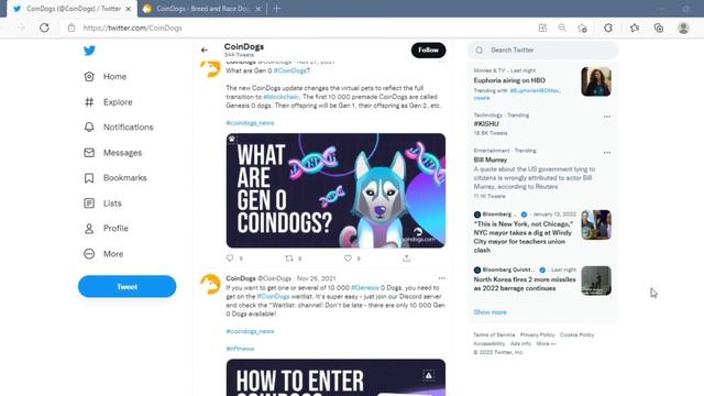 CoinDogs Do Not Hold Your Funds—all Profits Are Sent To Your Wallet Immediately