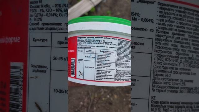 Хлороз клубники на апрель 2023 смотреть онлайн