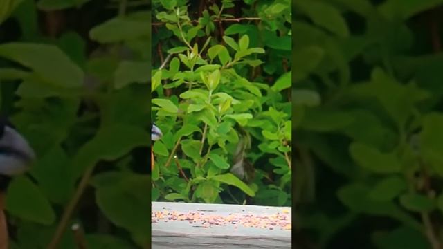 Димкина мать