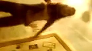 Жуткий смех или смех ведьмы!.3gp