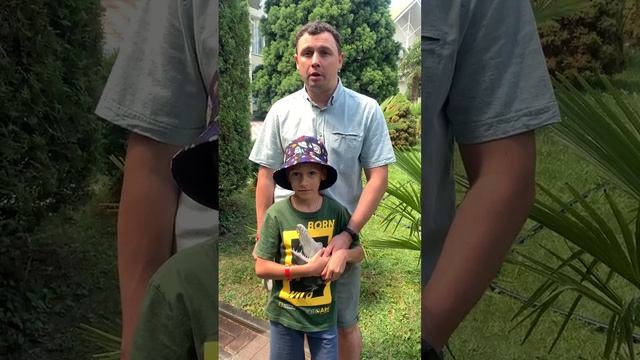 Видео отзыв отель Демерджи смотреть онлайн