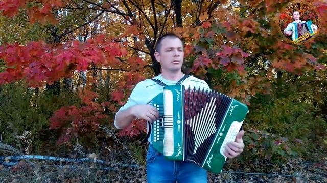 Осенний листопад.mp4 смотреть онлайн