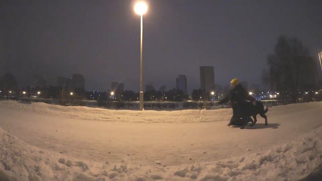 Команда "Рядом" со странным хозяином под песню Чиж и ко "Фантом" смотреть онлайн