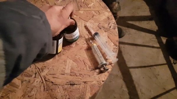 Ставим уколы бычкам. Ивермек, элеовит.