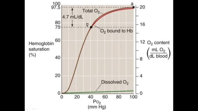 Структура и свойства гемоглобина