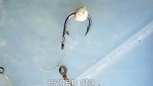 Почему рыба дура клюет на пенопласт